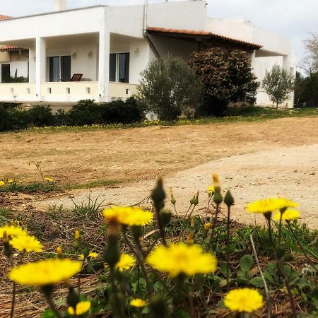 Villa The Hillhouse Near Alexandroupolis Exterior foto